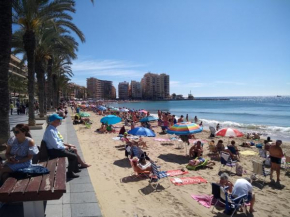 Studio Felix, Torrevieja